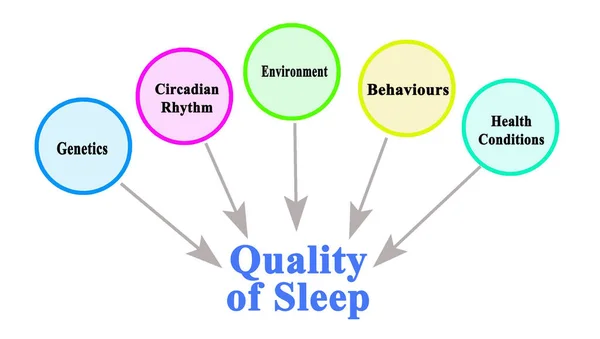 Что влияет на качество сна — стоковое фото